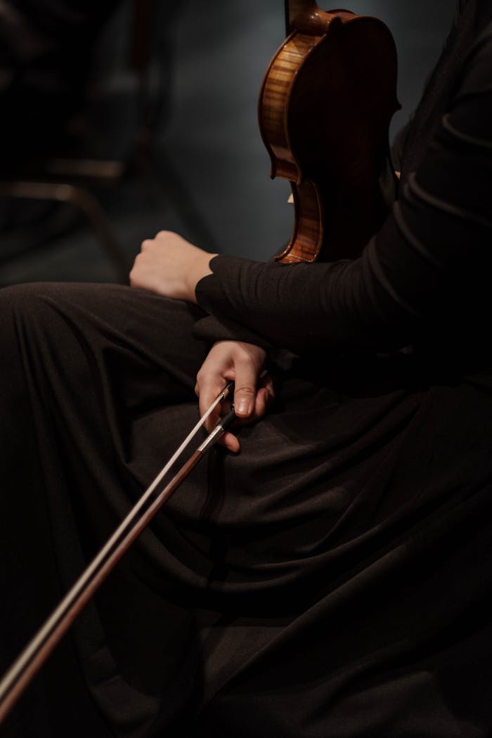 A violinist in a black dress elegantly holding a violin and bow, creating a graceful musical atmosphere.